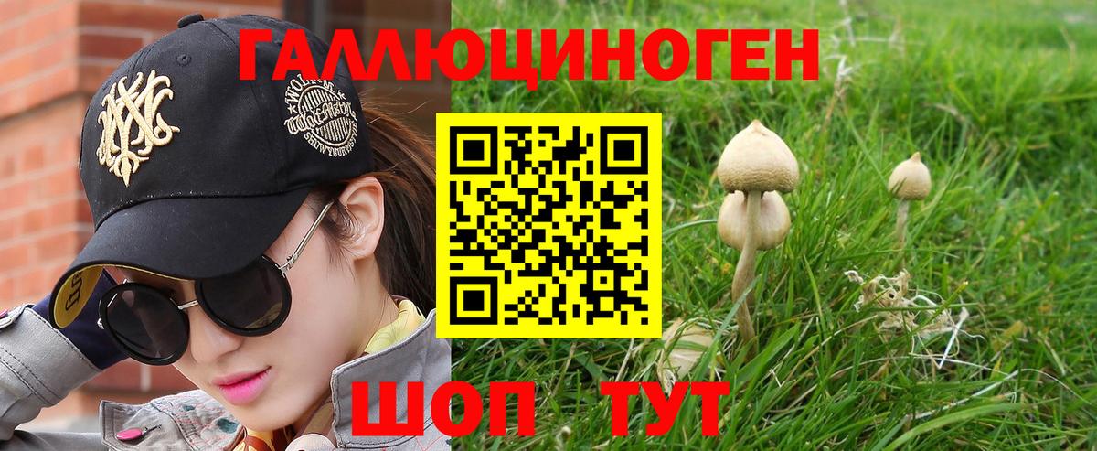 Озёрск  Галлюциногенные грибы Cubensis  купить наркотик  Вход с VPN 