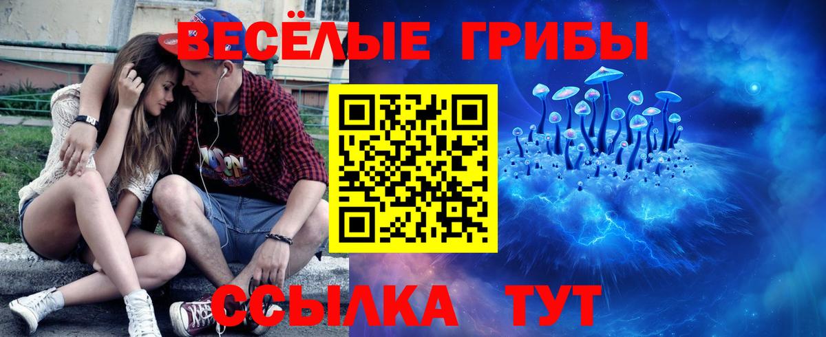 Псилоцибиновые грибы Psilocybe Озёрск